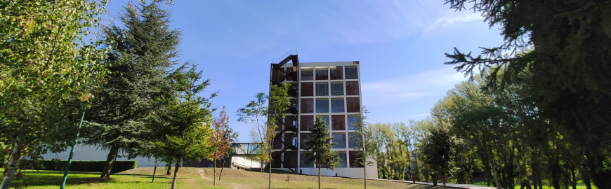 BPG - Biblioteca da UMinho no campus de Azurém