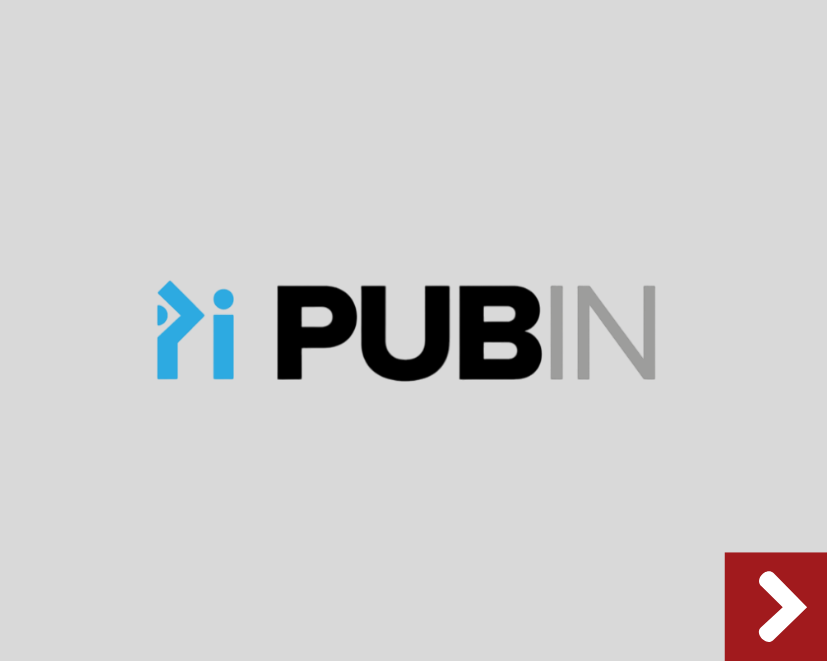 saiba mais sobre o PubIn
