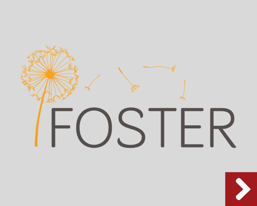 Saiba mais sobre o Foster