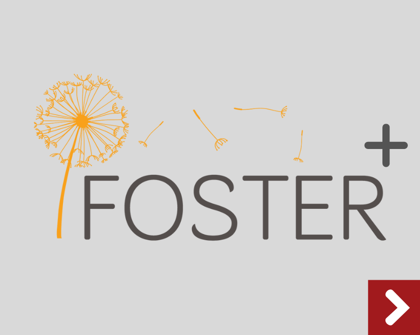 Saiba mais sobre o Foster Plus