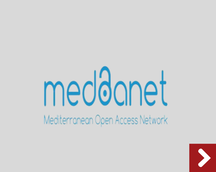 Saiba mais sobre a Medoanet